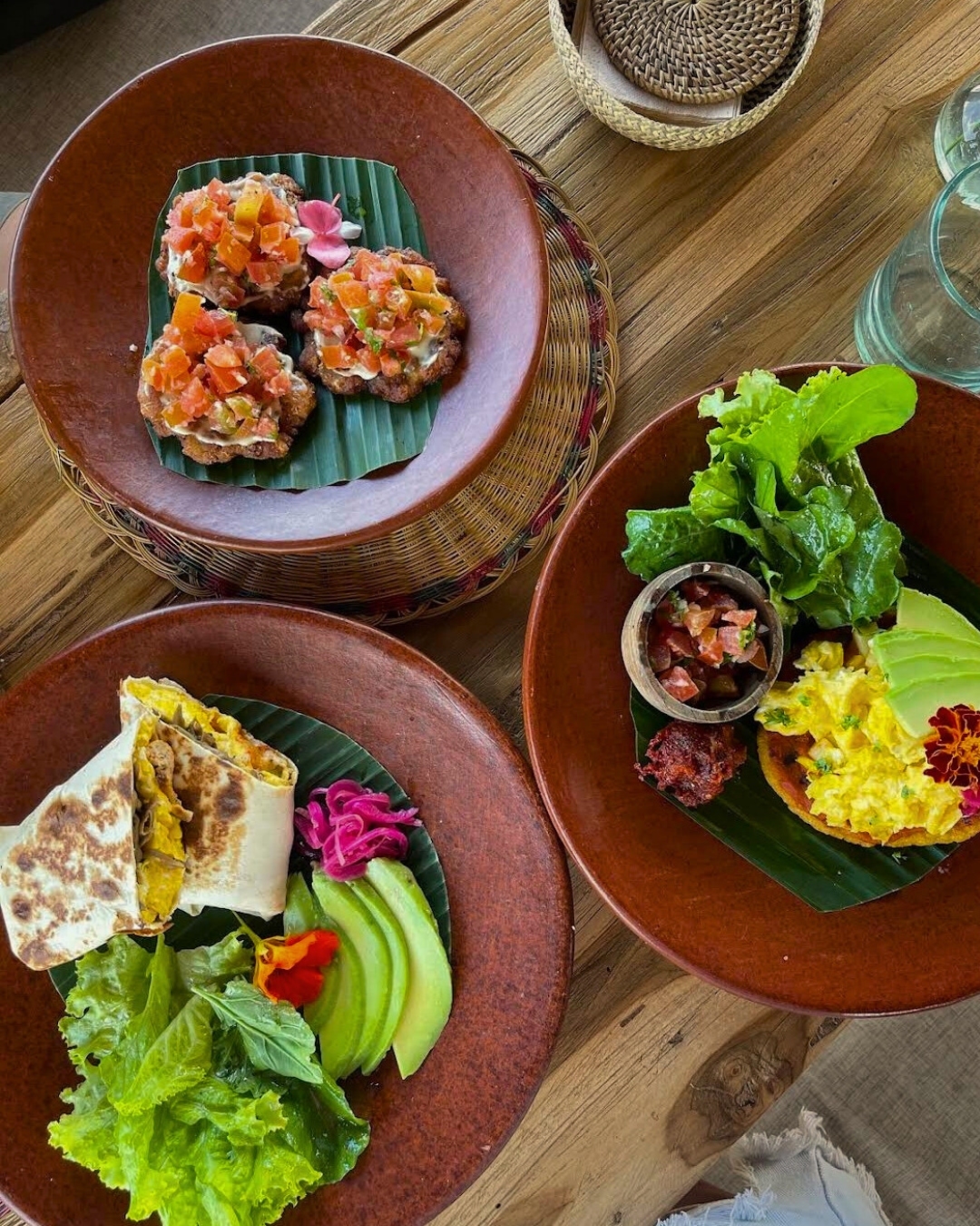 Casa Curandera Best Organic Restaurants